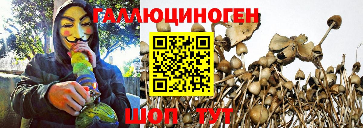 Галлюциногенные грибы мухоморы Самара