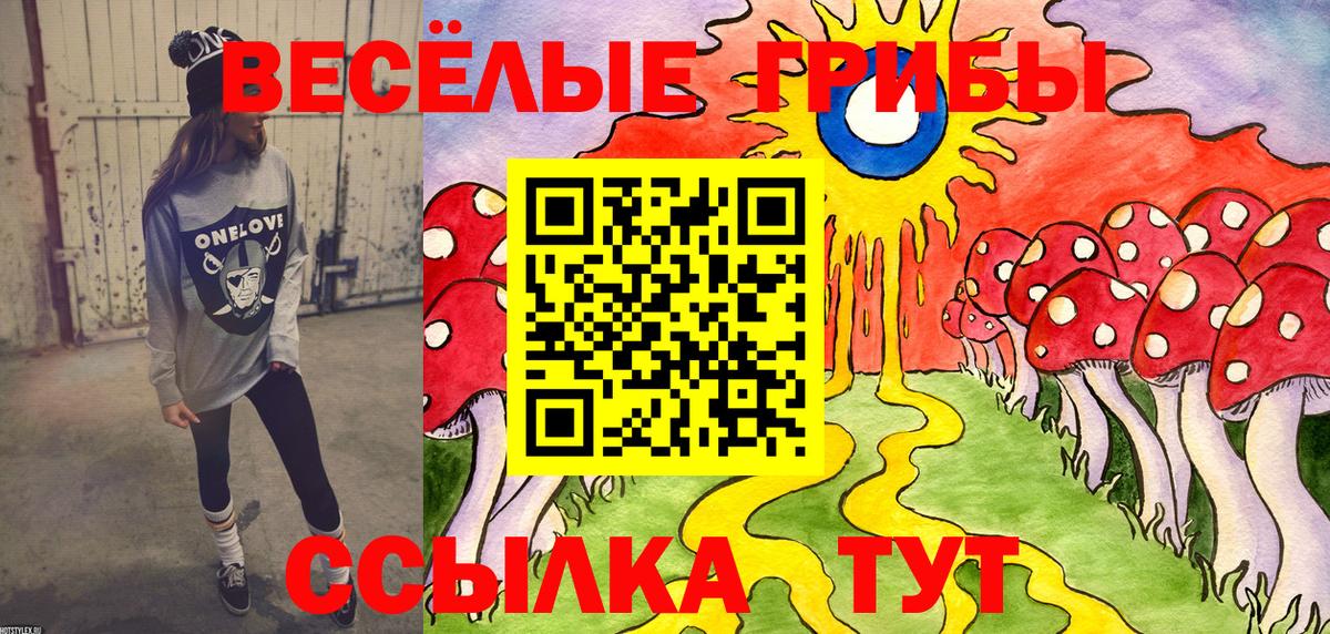 где купить наркоту  Вход с VPN  Самара  Псилоцибиновые грибы Magic Shrooms 